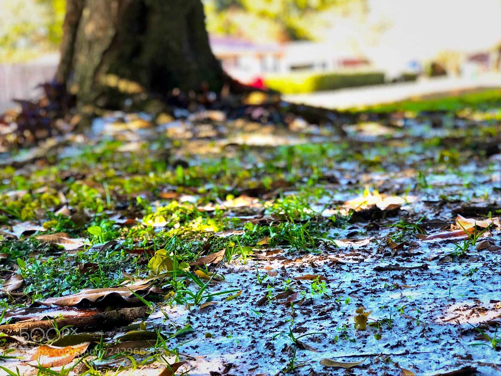 Apple iPhone 8 Plus sample photo. A chilly day photography