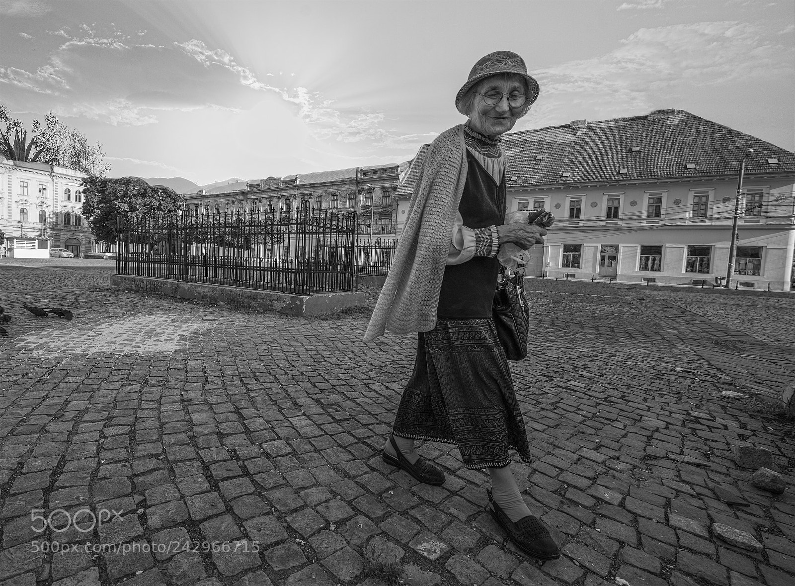 Nikon D800E sample photo. Romanya i last photography