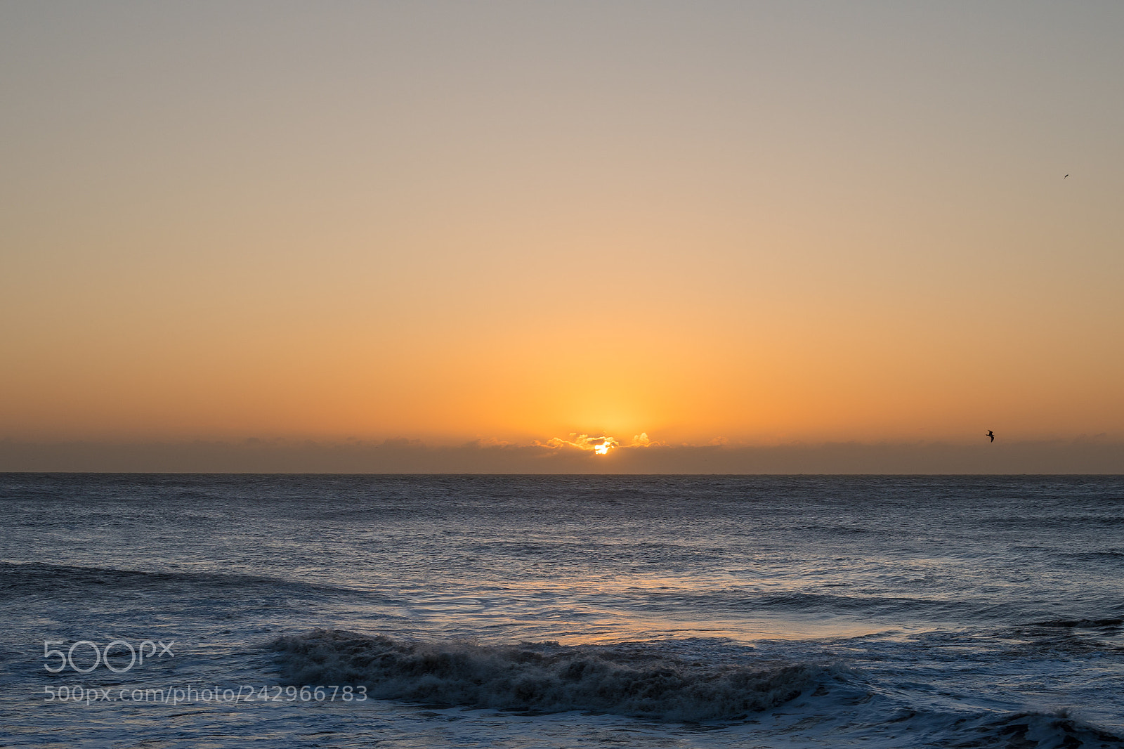 Nikon D500 sample photo. Sunrise above the sea photography