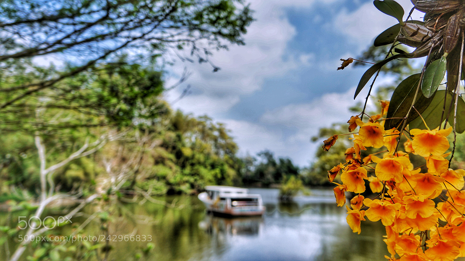 Sony Alpha NEX-5N sample photo. Untitled photography