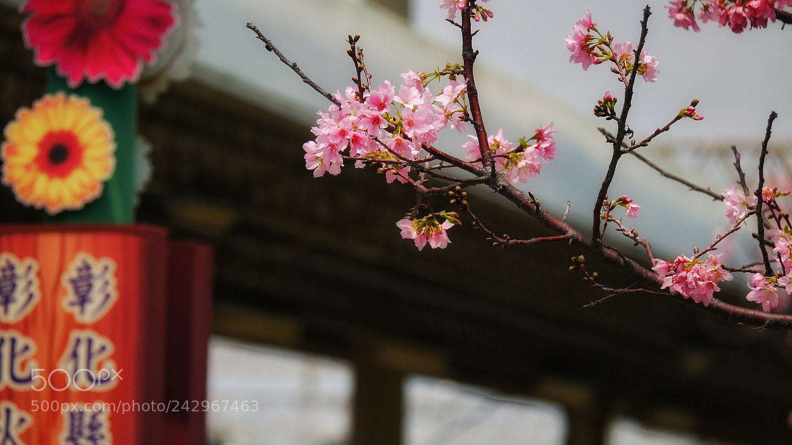 Panasonic Lumix DMC-GF1 sample photo. Untitled photography