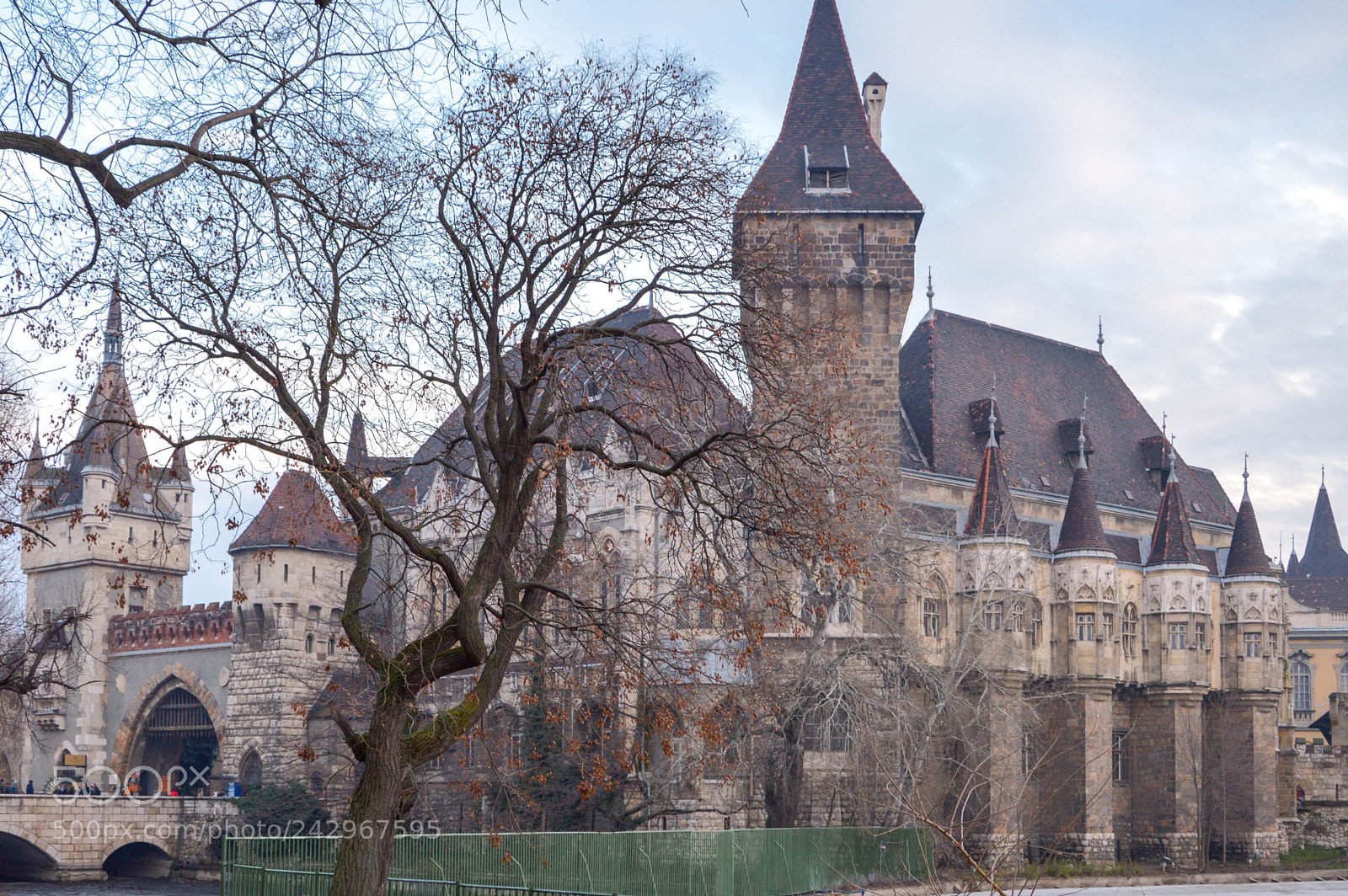 Nikon D3200 sample photo. Vajdahunyad castle photography