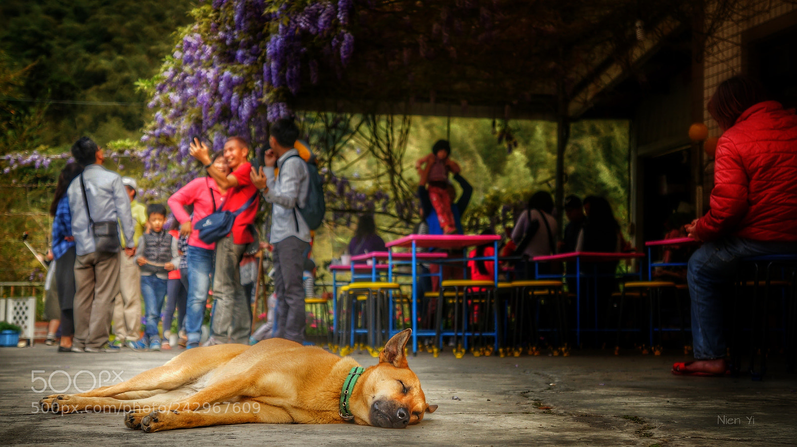 Sony Alpha NEX-5N sample photo. Untitled photography