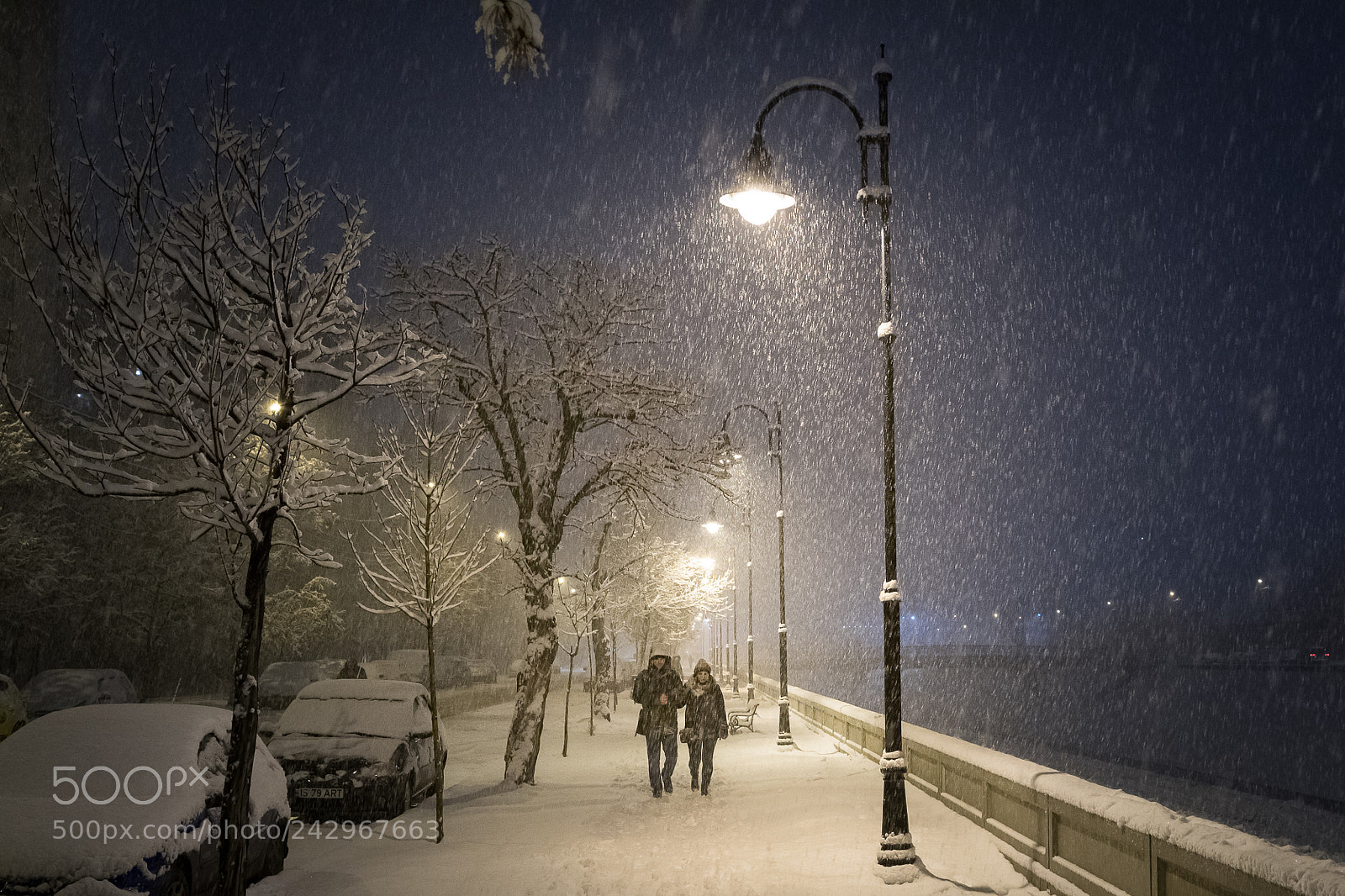 Nikon D500 sample photo. Romantic atmosphere photography