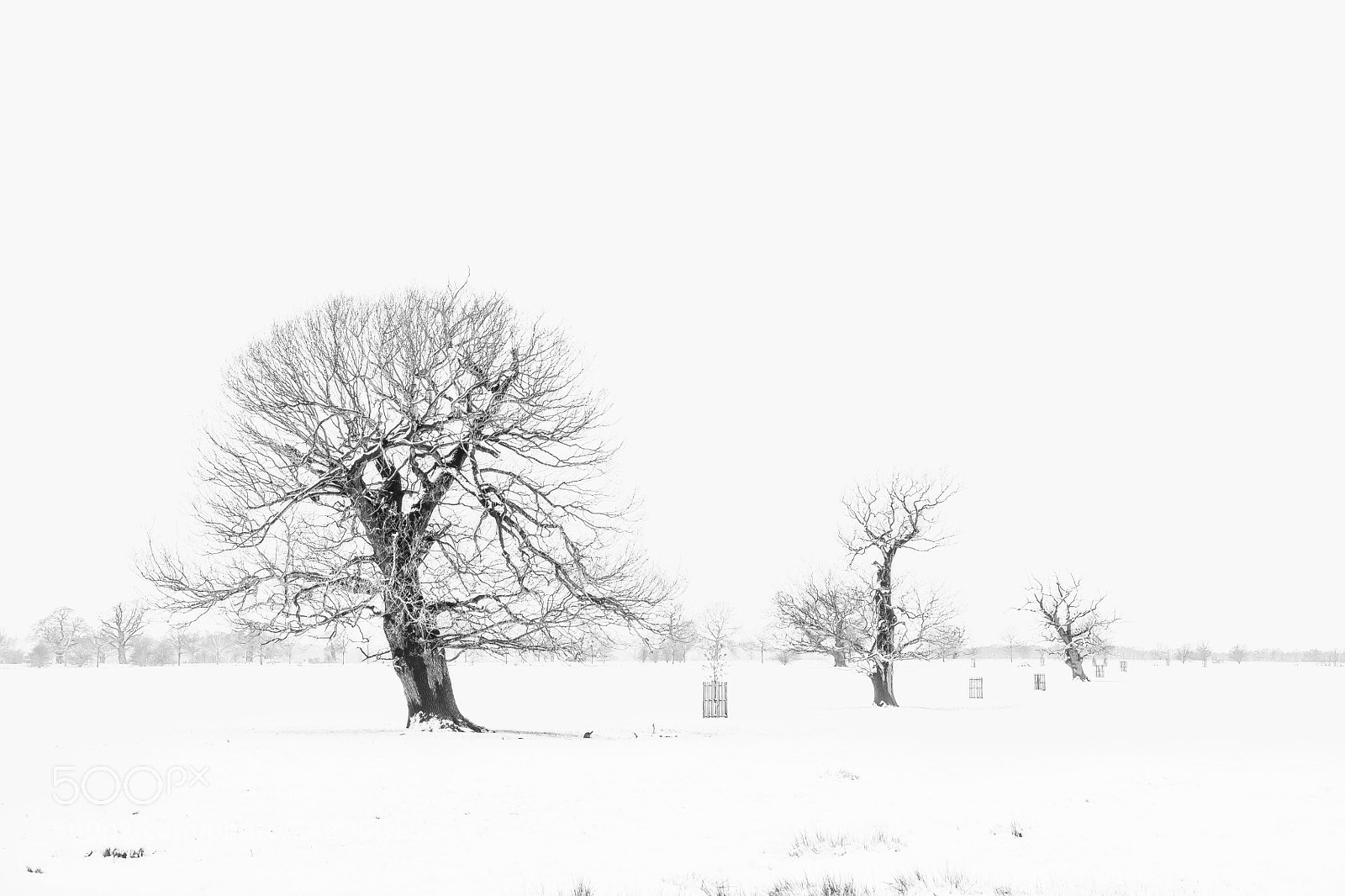 Canon EOS 50D sample photo. Untitled photography