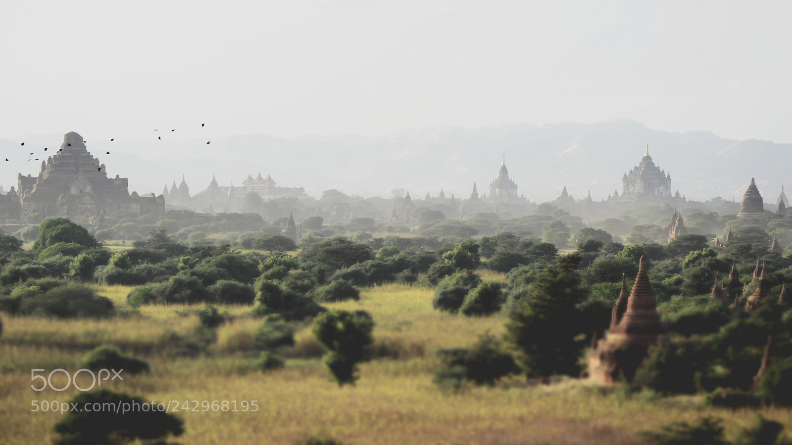 Nikon D5100 sample photo. Misty bagan photography
