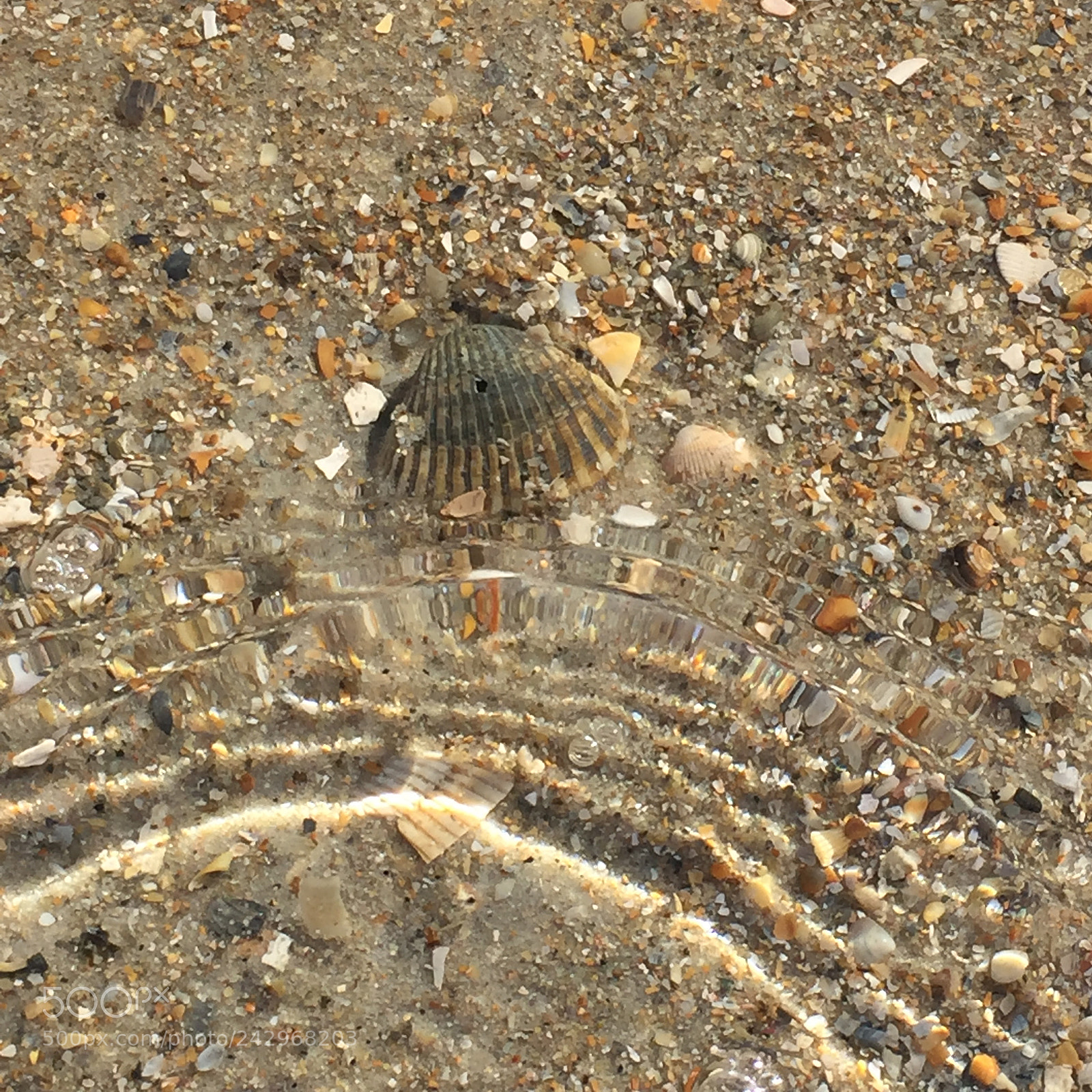 Apple iPhone 6 sample photo. Ripples photography