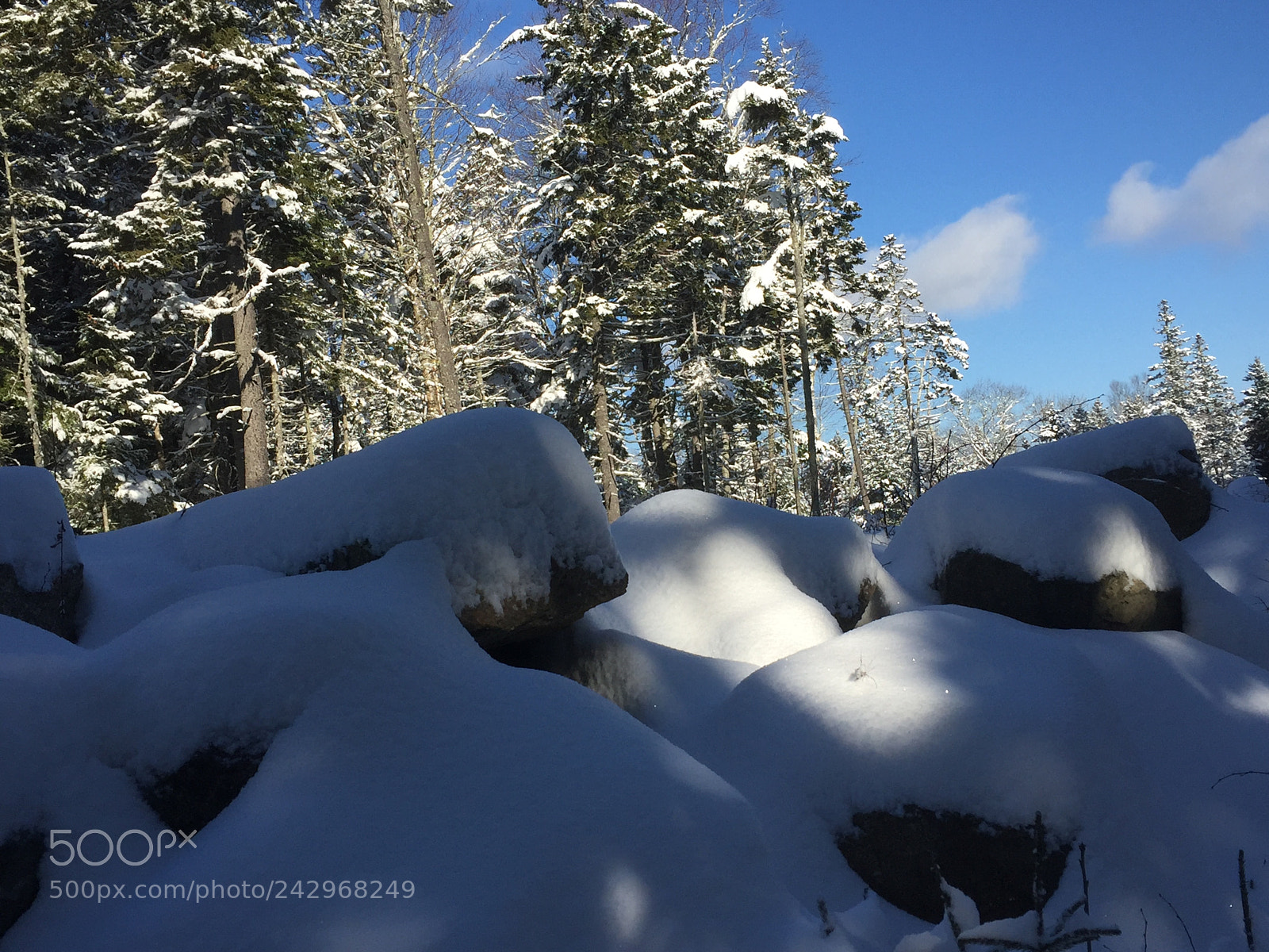 Apple iPhone 6 sample photo. A beautiful snowy day photography