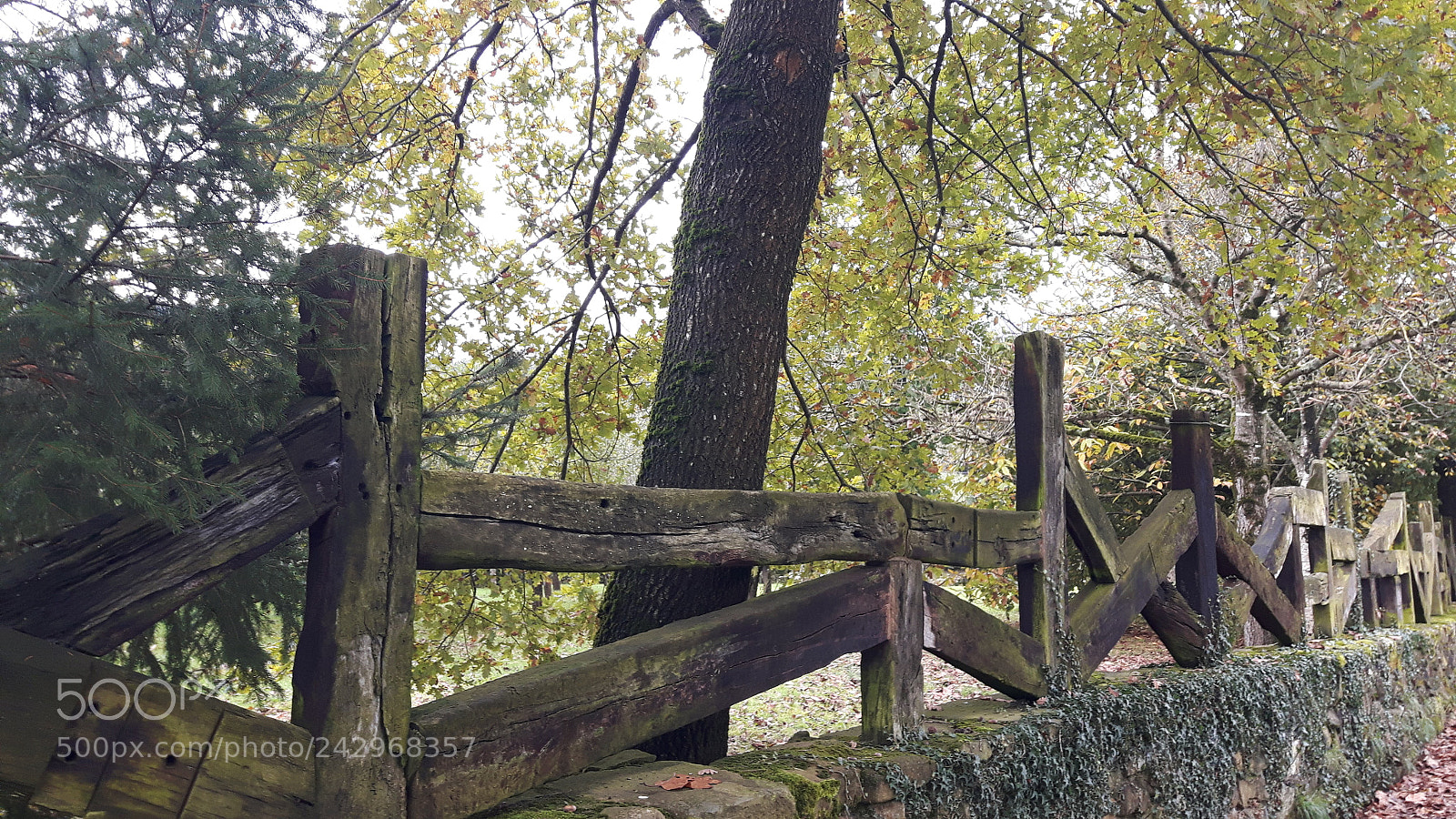 Samsung Galaxy S5 Neo sample photo. Valla de madera photography