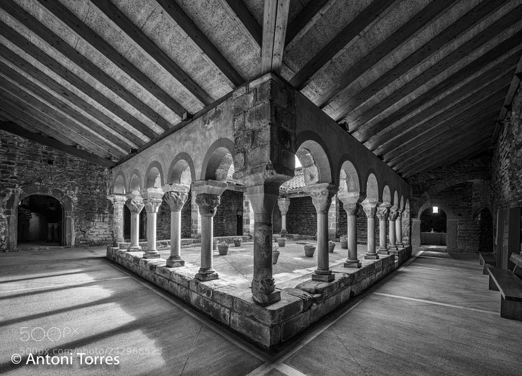 Olympus OM-D E-M1 Mark II sample photo. Claustre del monestir de photography