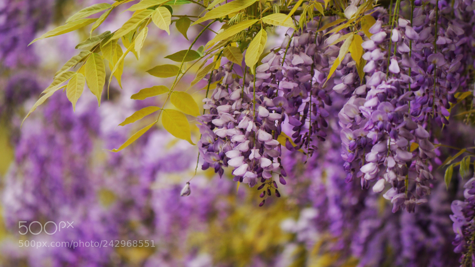 Panasonic Lumix DMC-GF1 sample photo. Untitled photography
