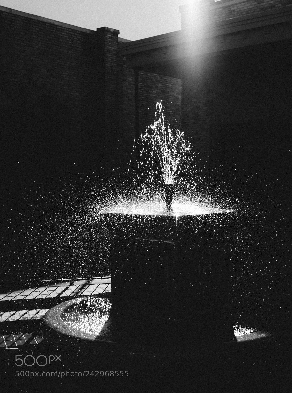 Fujifilm X-Pro2 sample photo. Untitled photography