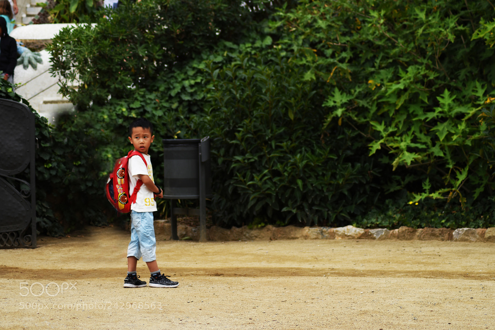 Nikon D5500 sample photo. Are you lost? photography