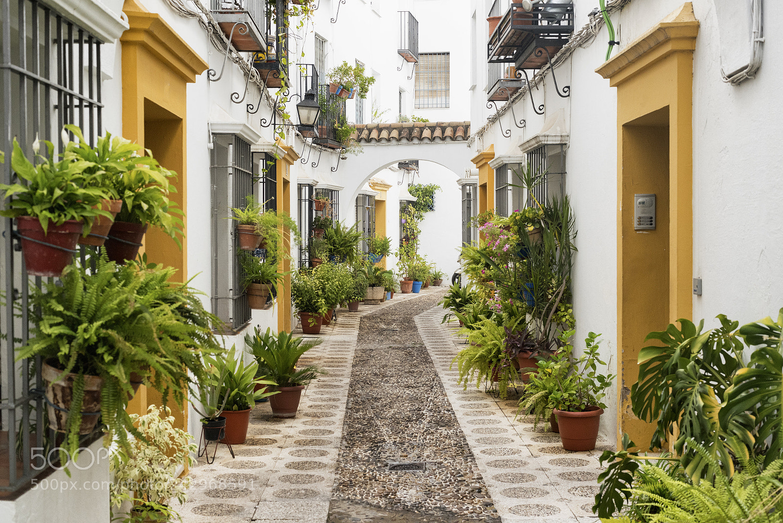 Nikon D810 sample photo. Cordoba (andalucia, spain): street photography