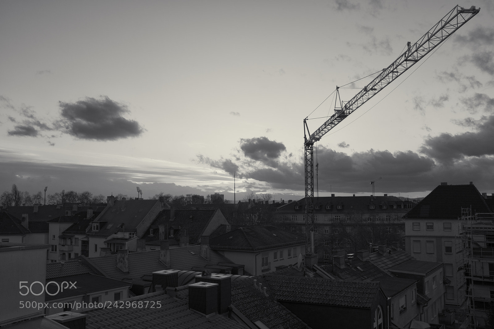 Fujifilm X100F sample photo. Crane photography