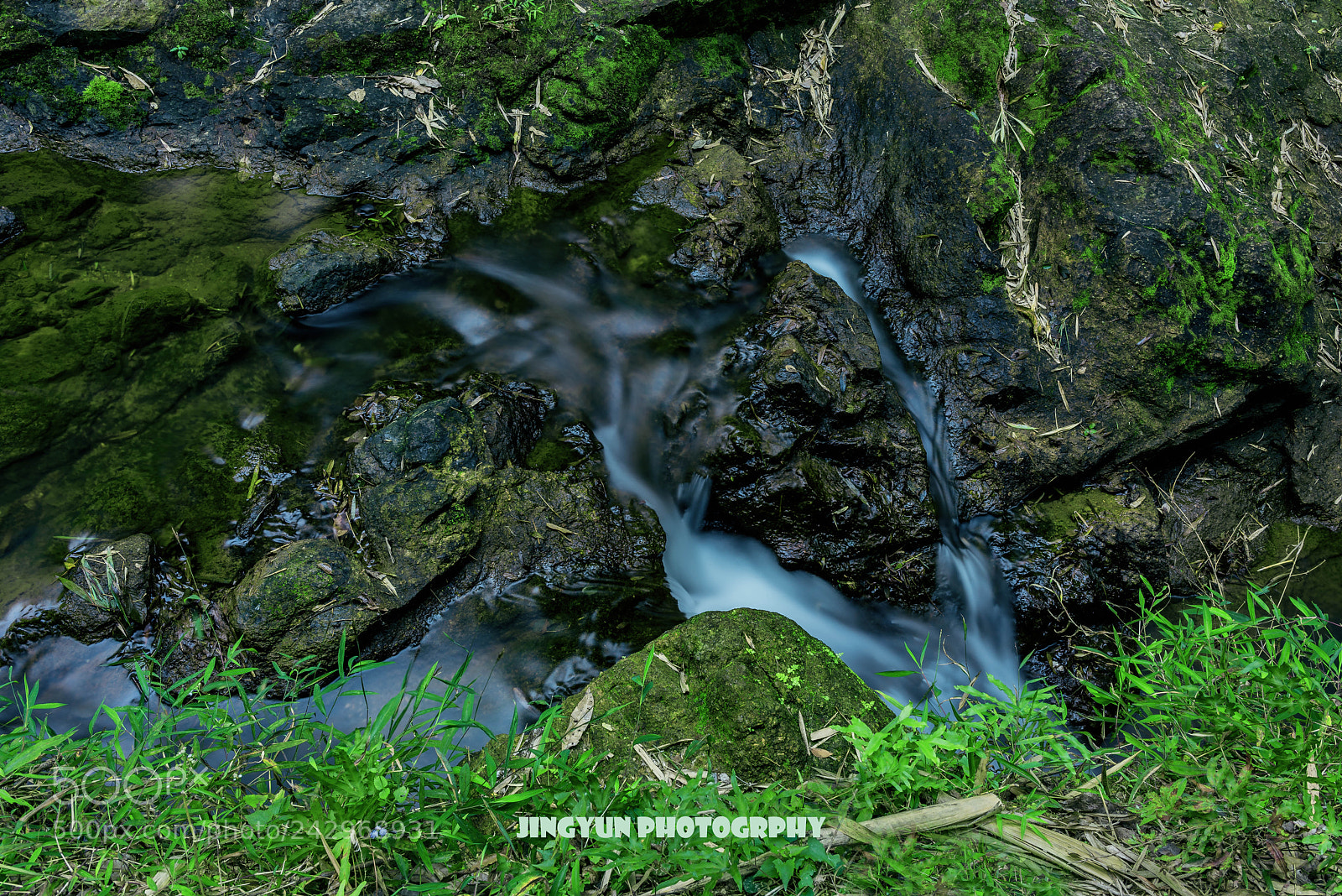 Nikon D810 sample photo. Untitled photography