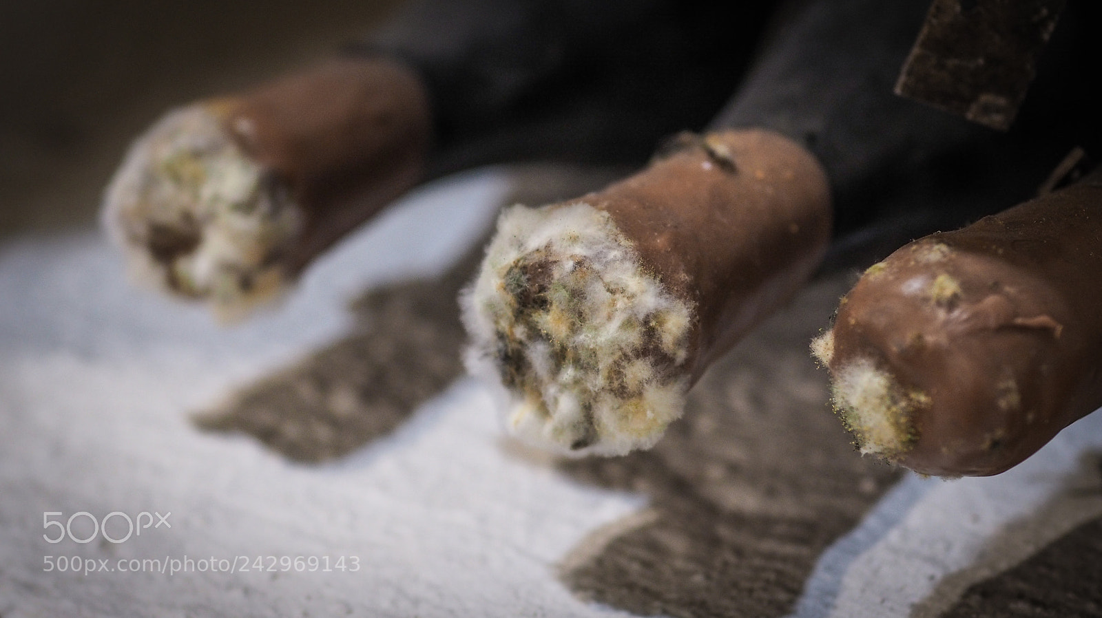 Olympus OM-D E-M10 sample photo. Moldy collection wine photography
