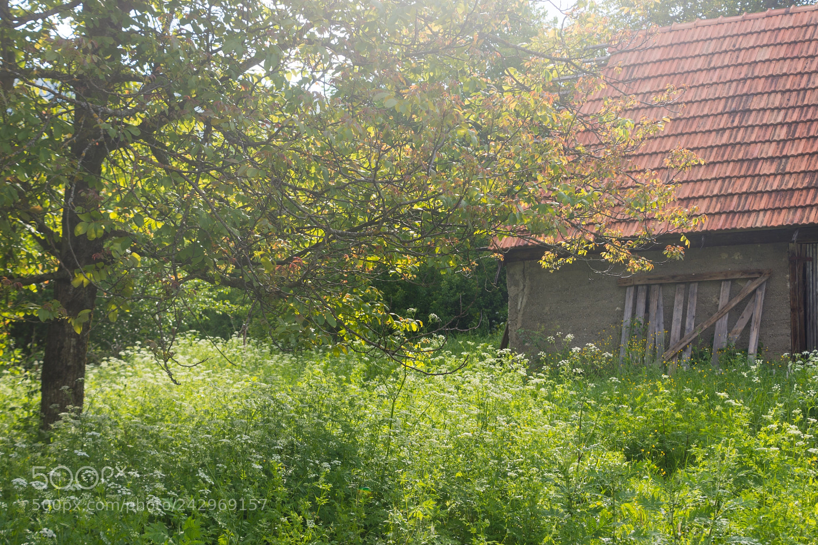 Nikon D7200 sample photo. Plitvice lakes national park photography