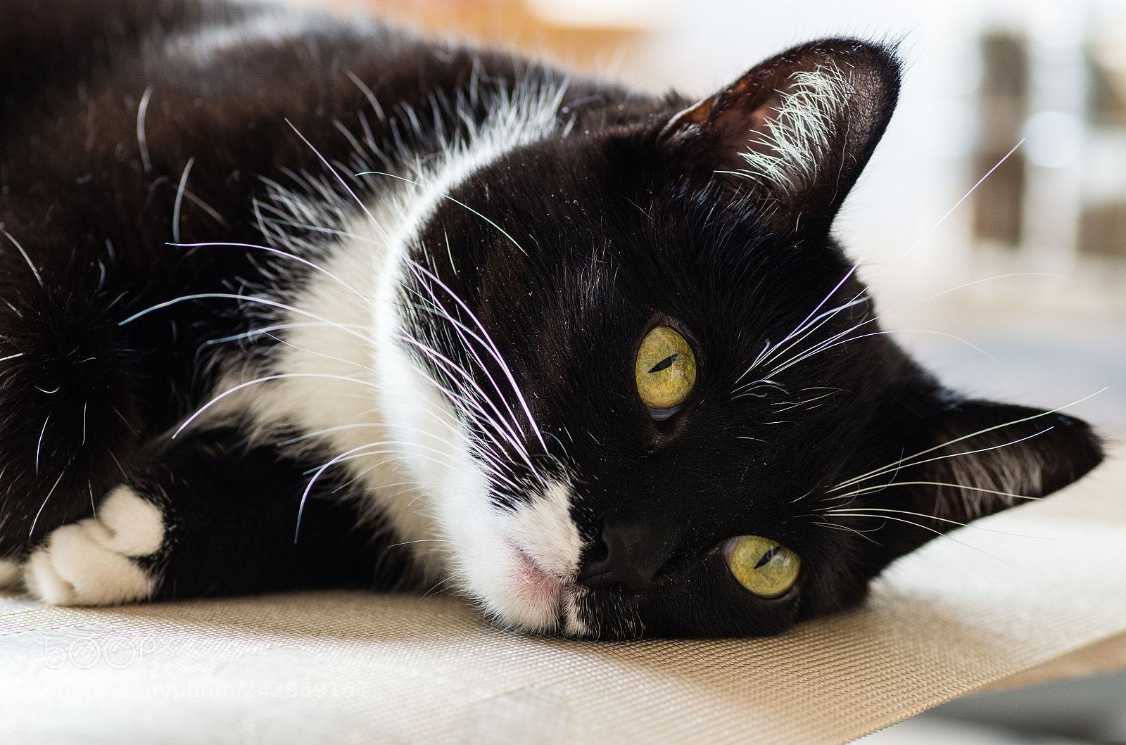 Pentax K-30 sample photo. Leeloo photography