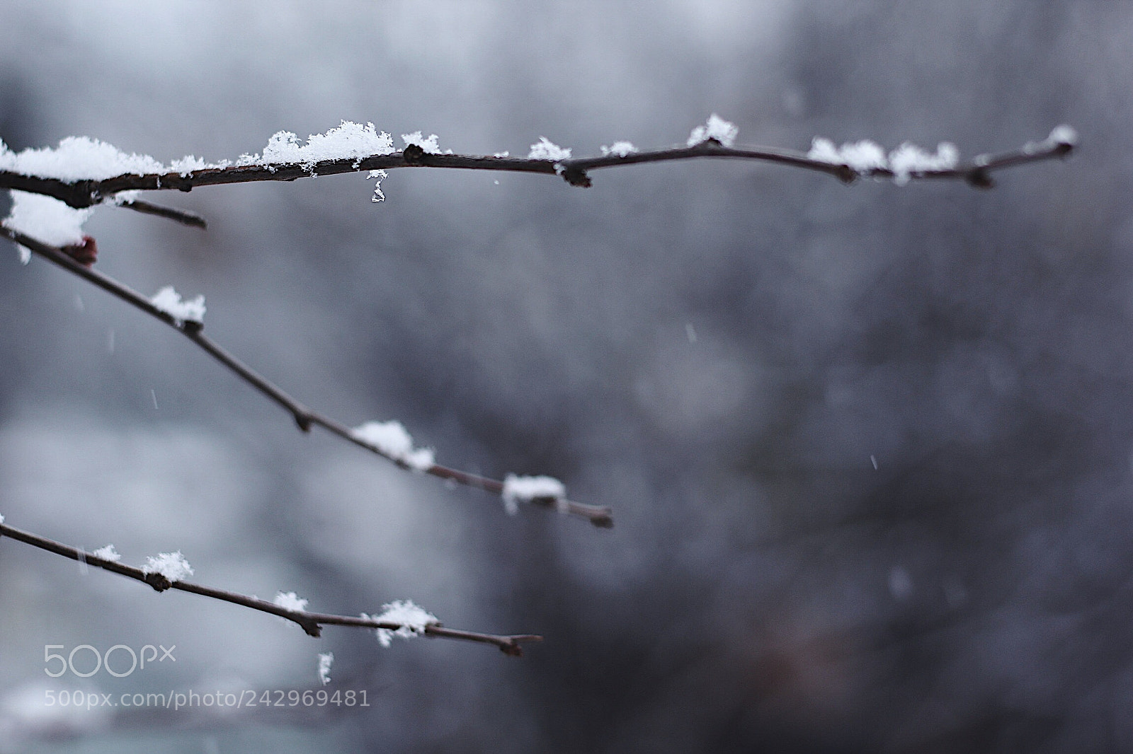Canon EOS 60D sample photo. ❄️ photography