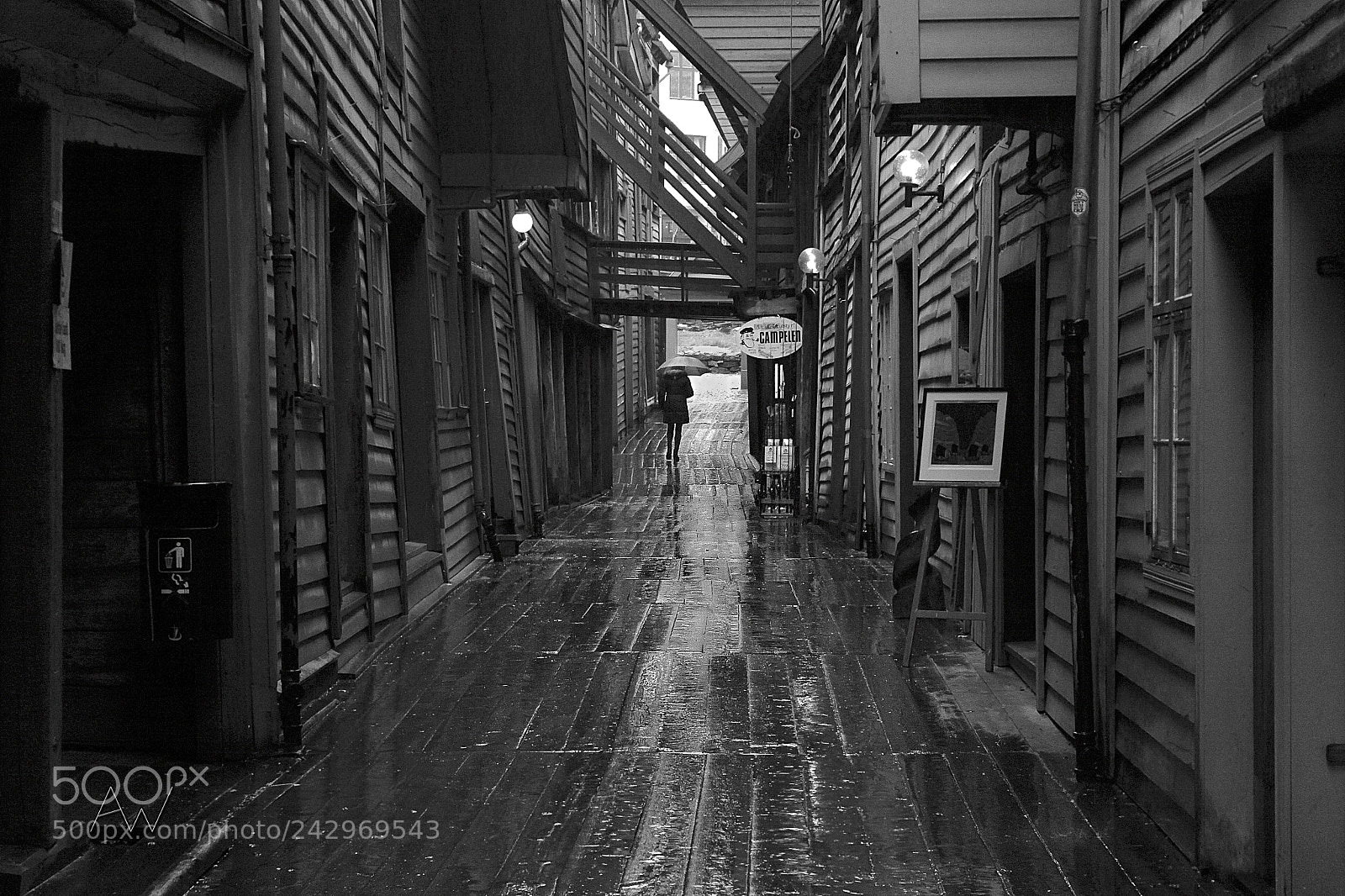 Canon EOS 500D (EOS Rebel T1i / EOS Kiss X3) sample photo. Wooden walk photography