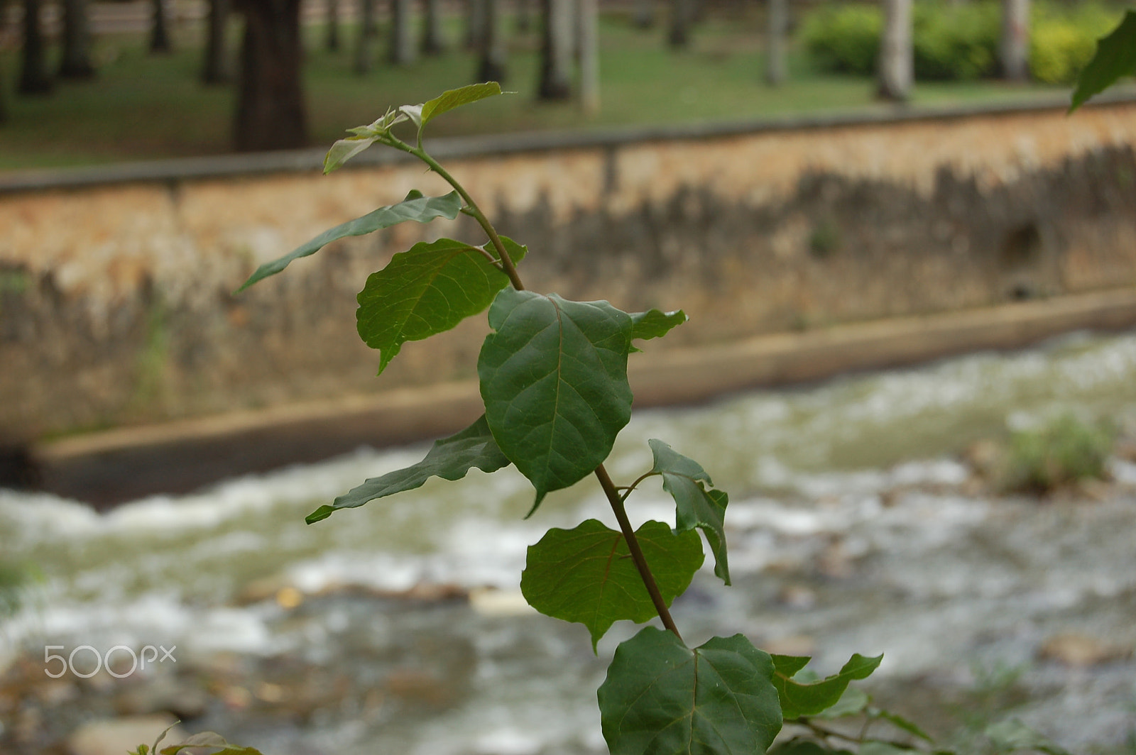 Nikon D50 sample photo. Skylines of nature photography