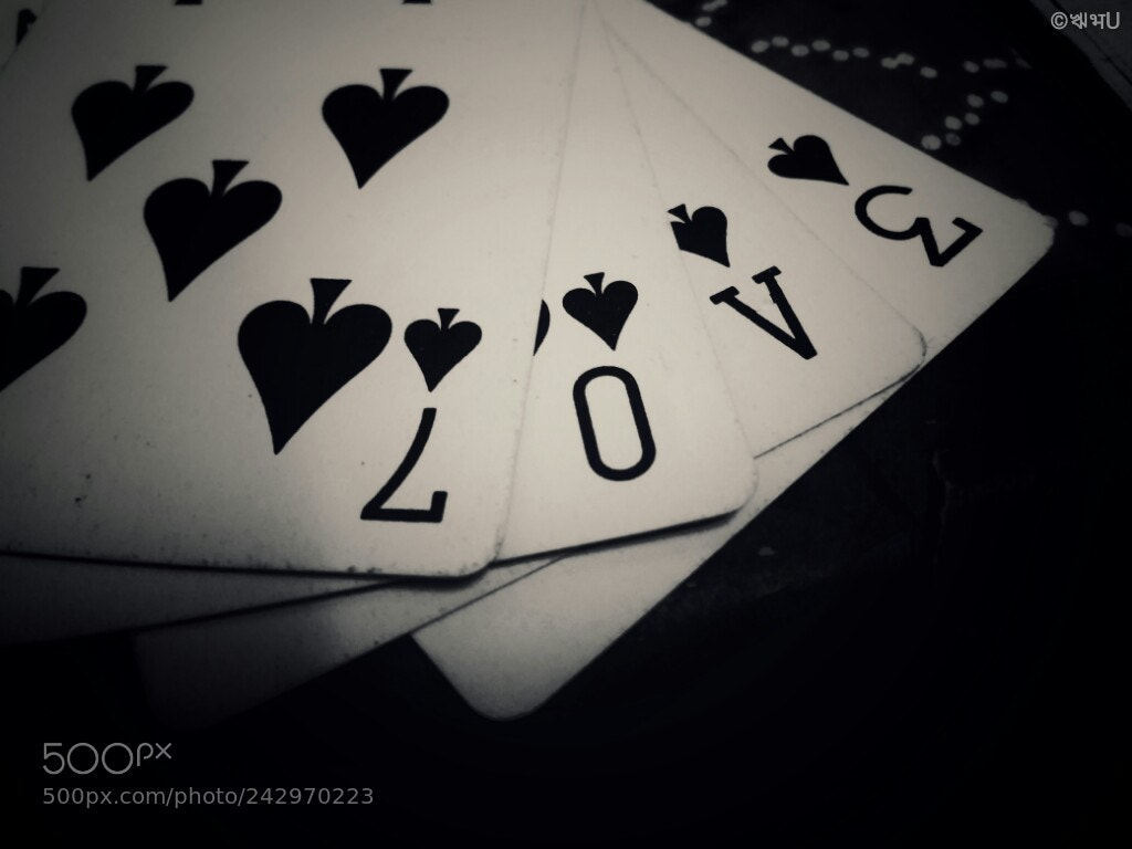 Xiaomi Redmi 4A sample photo. Love... photography