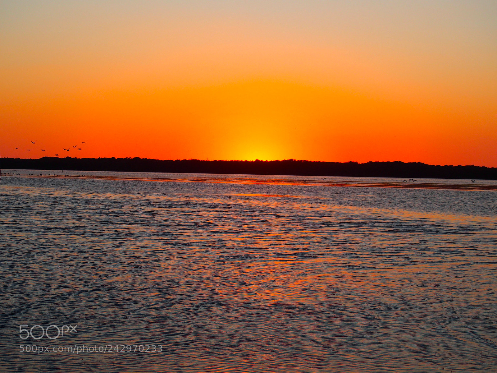 Olympus OM-D E-M5 sample photo. Sunset in celestún photography