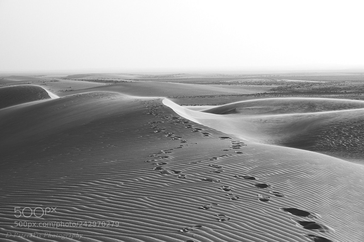 Fujifilm X-T1 sample photo. In the desert you photography