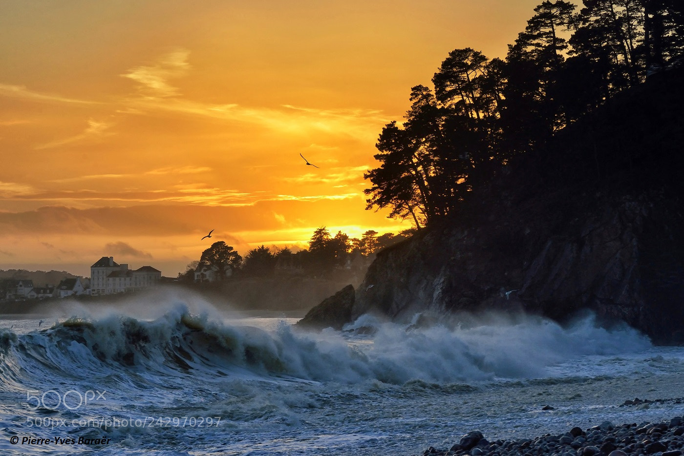 Nikon D800 sample photo. Shorebreak at portzic beach photography