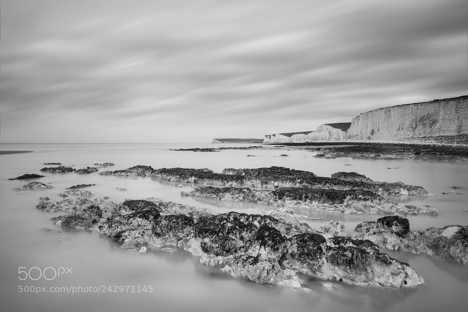 Nikon D800 sample photo. Stunning black and white photography