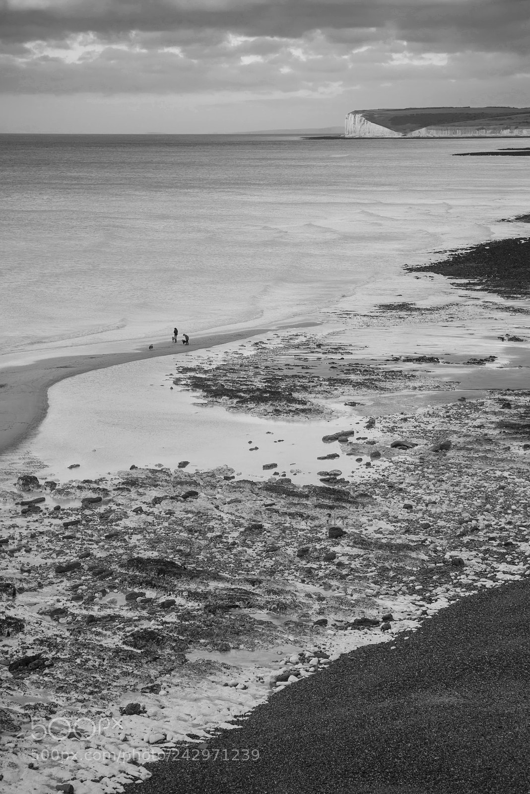 Nikon D800 sample photo. Stunning black and white photography