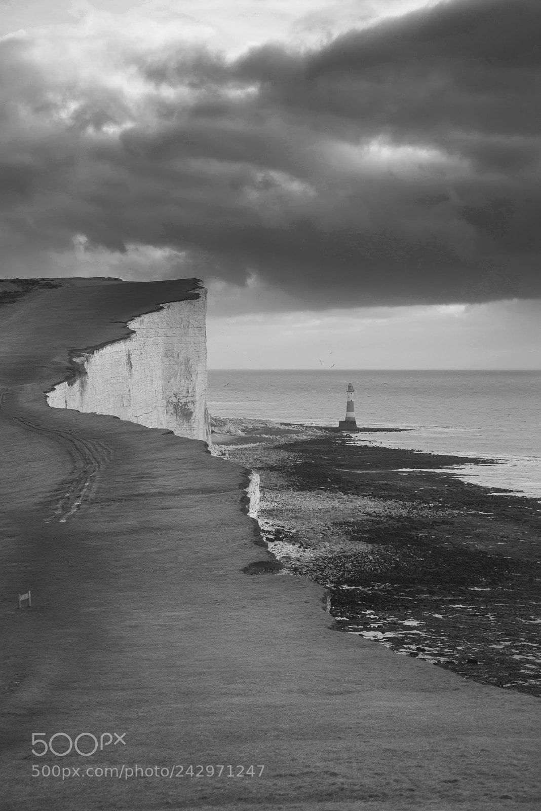 Nikon D800 sample photo. Stunning black and white photography