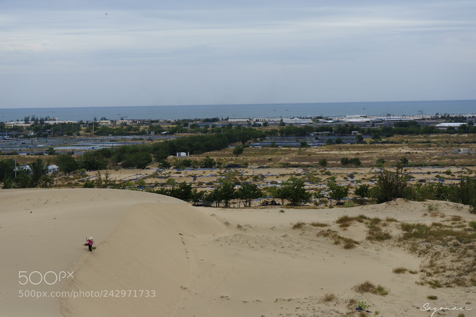 Sony a7 II sample photo. Dsc photography