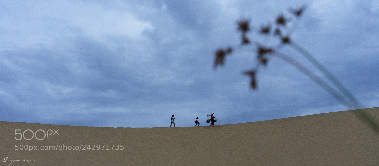 Sony a7 II sample photo. Dsc photography