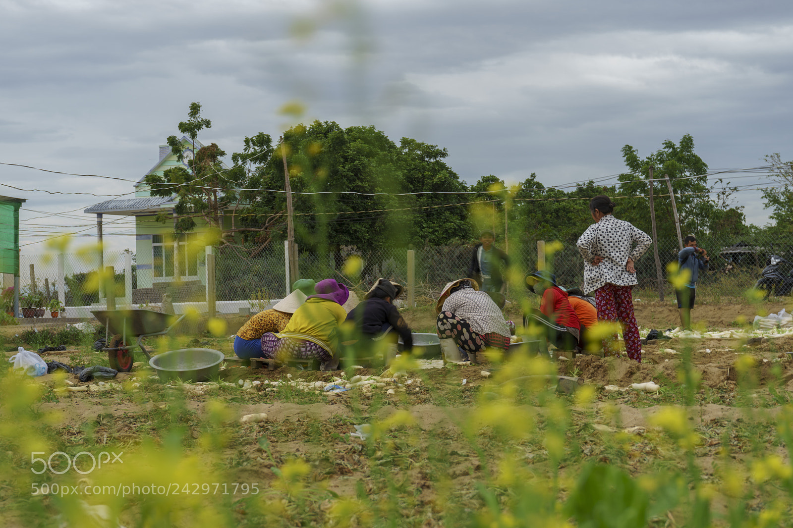 Sony a7 II sample photo. Dsc photography