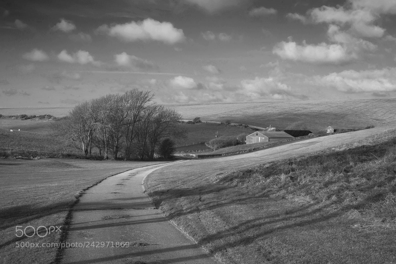 Nikon D800 sample photo. Beautiful black and white photography