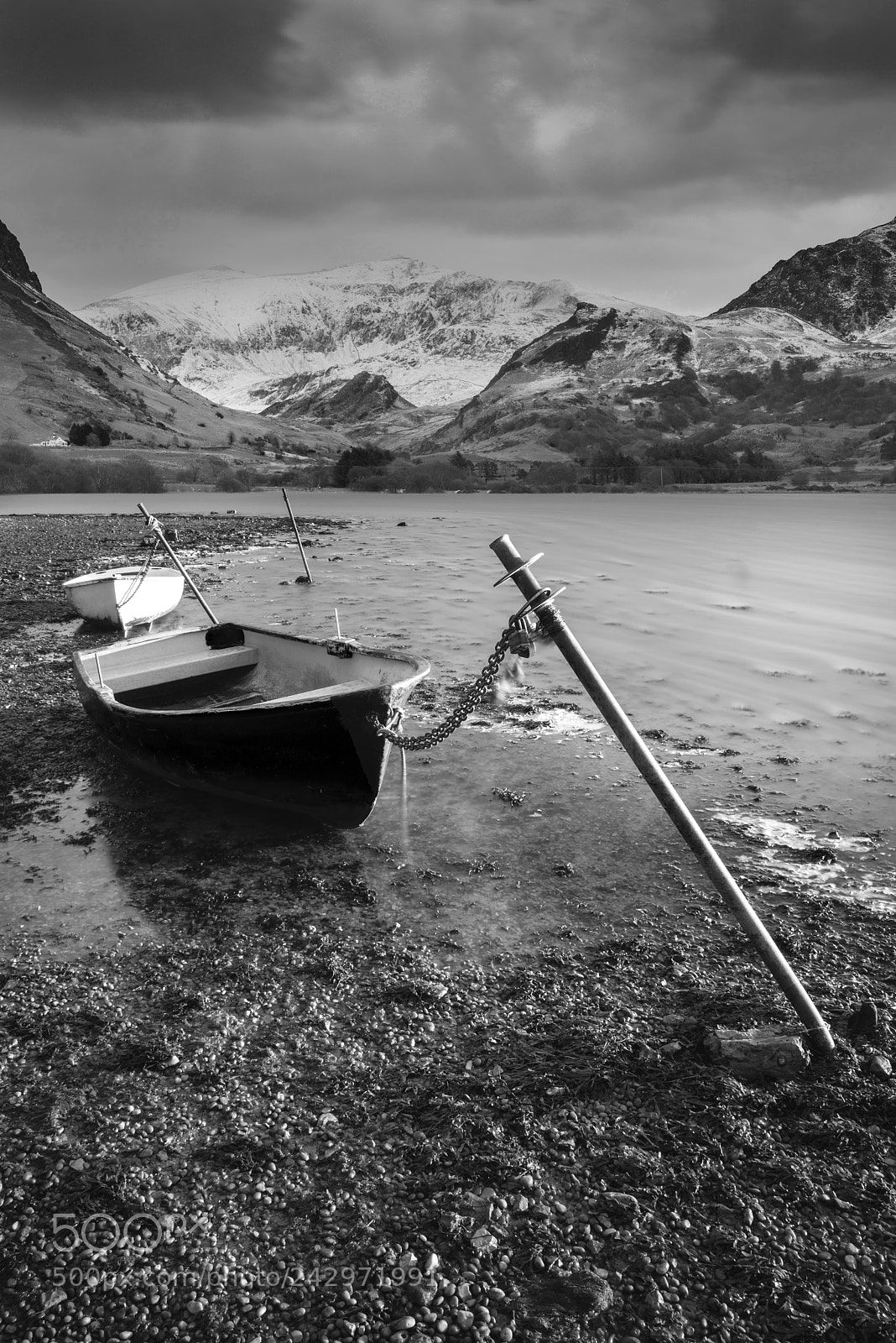 Nikon D800 sample photo. Beautiful black and white photography