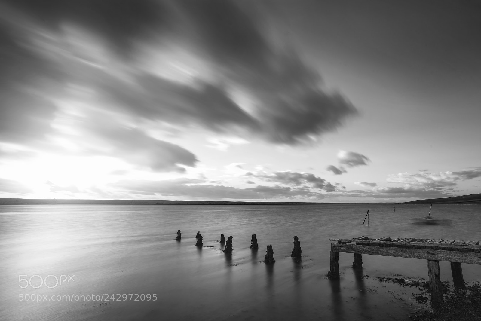 Nikon D800 sample photo. Beautiful black and white photography