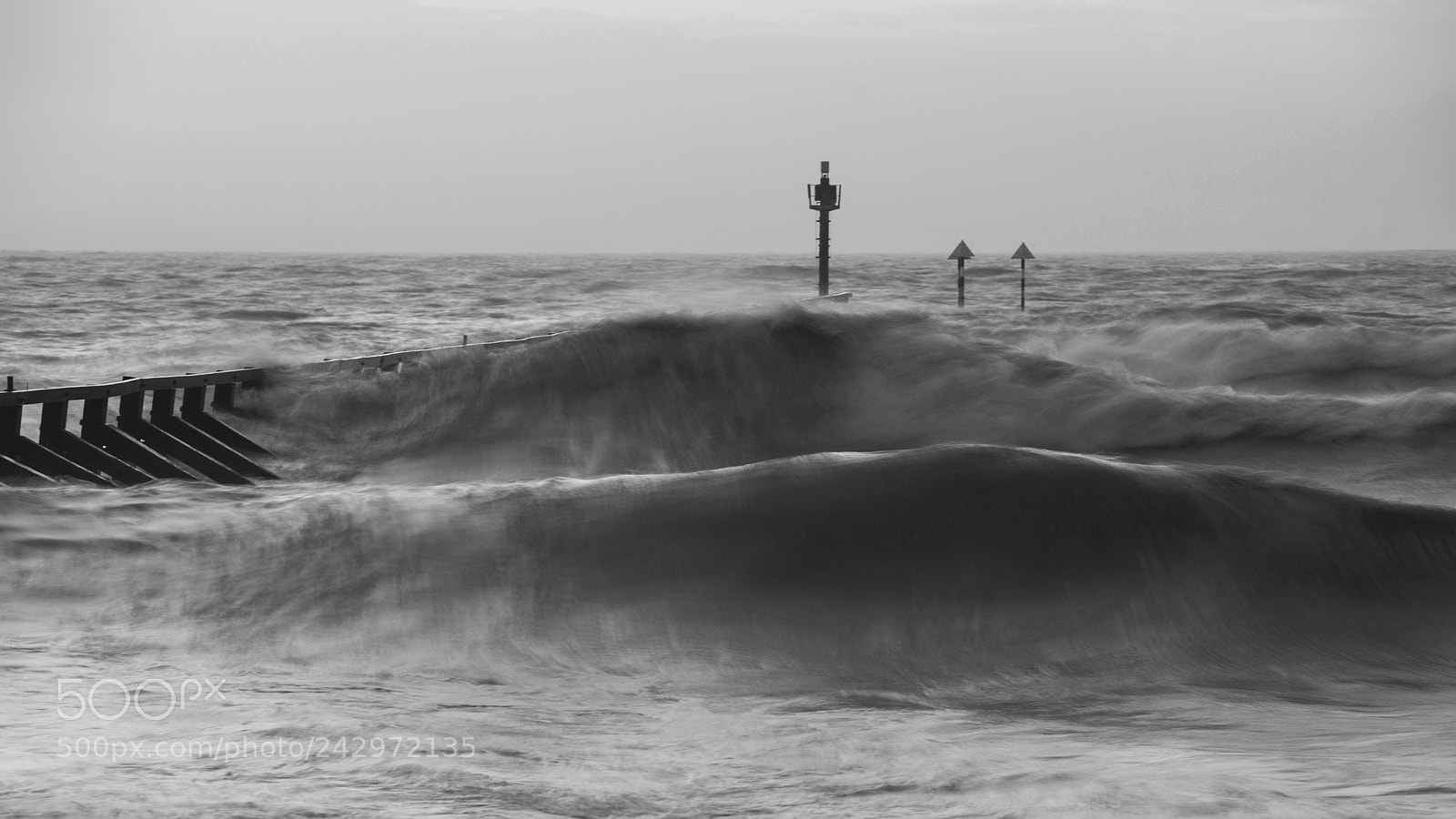 Nikon D800 sample photo. Beautiful dramatic black and photography