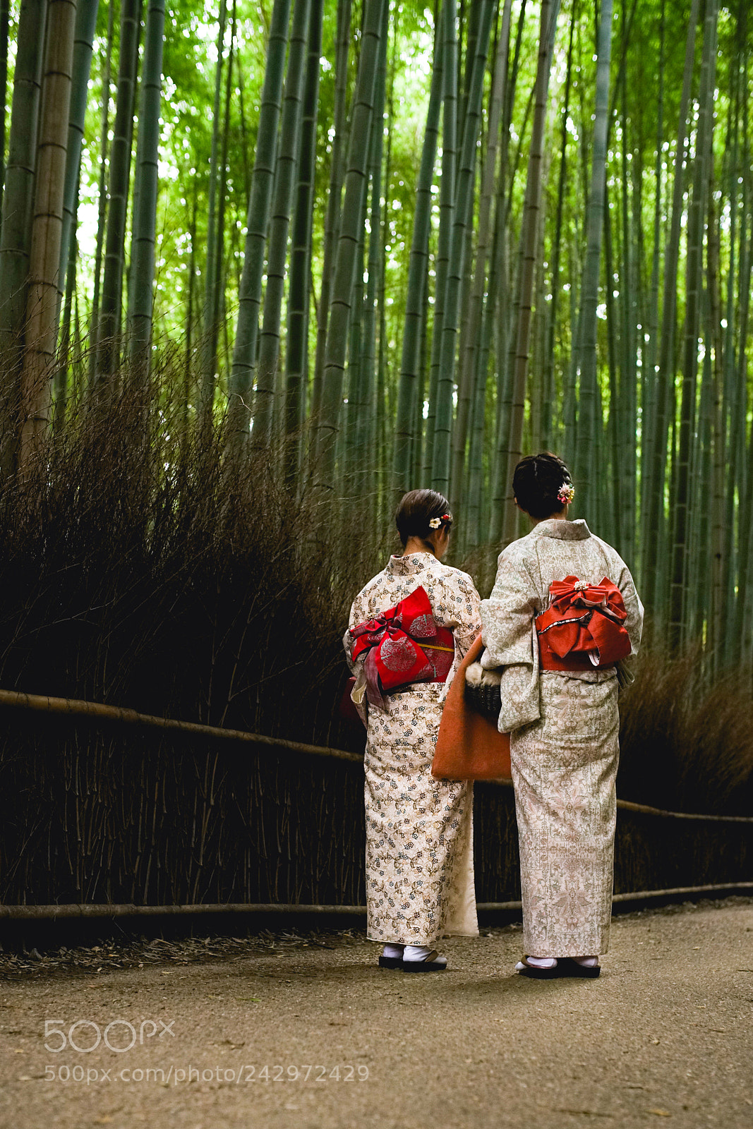 Sony a7R II sample photo. Arashiyama bamboo grove, kyoto 2017 photography
