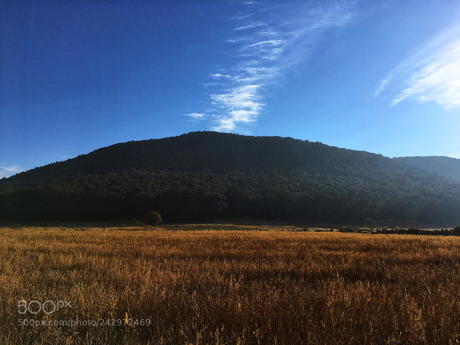 Apple iPhone SE sample photo. Calpulalpan photography