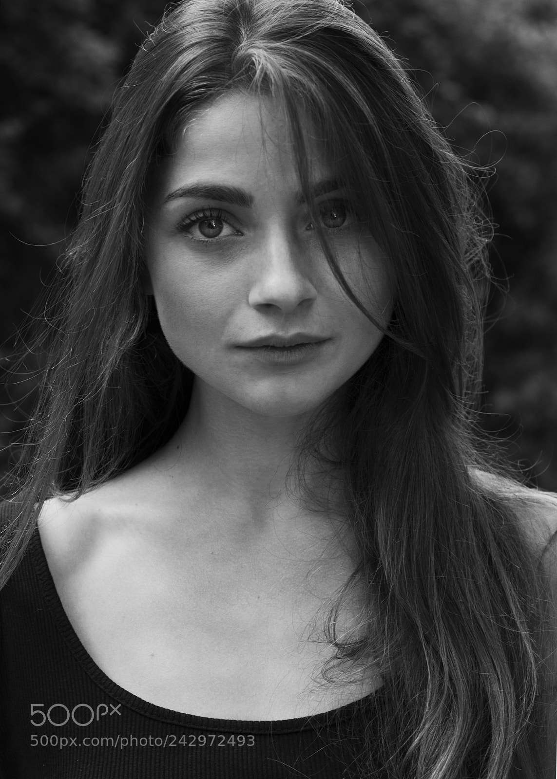 Nikon D800 sample photo. Msn photography