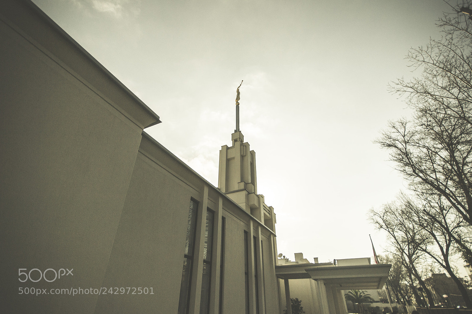 Nikon D3100 sample photo. 20082016094636.jpg photography