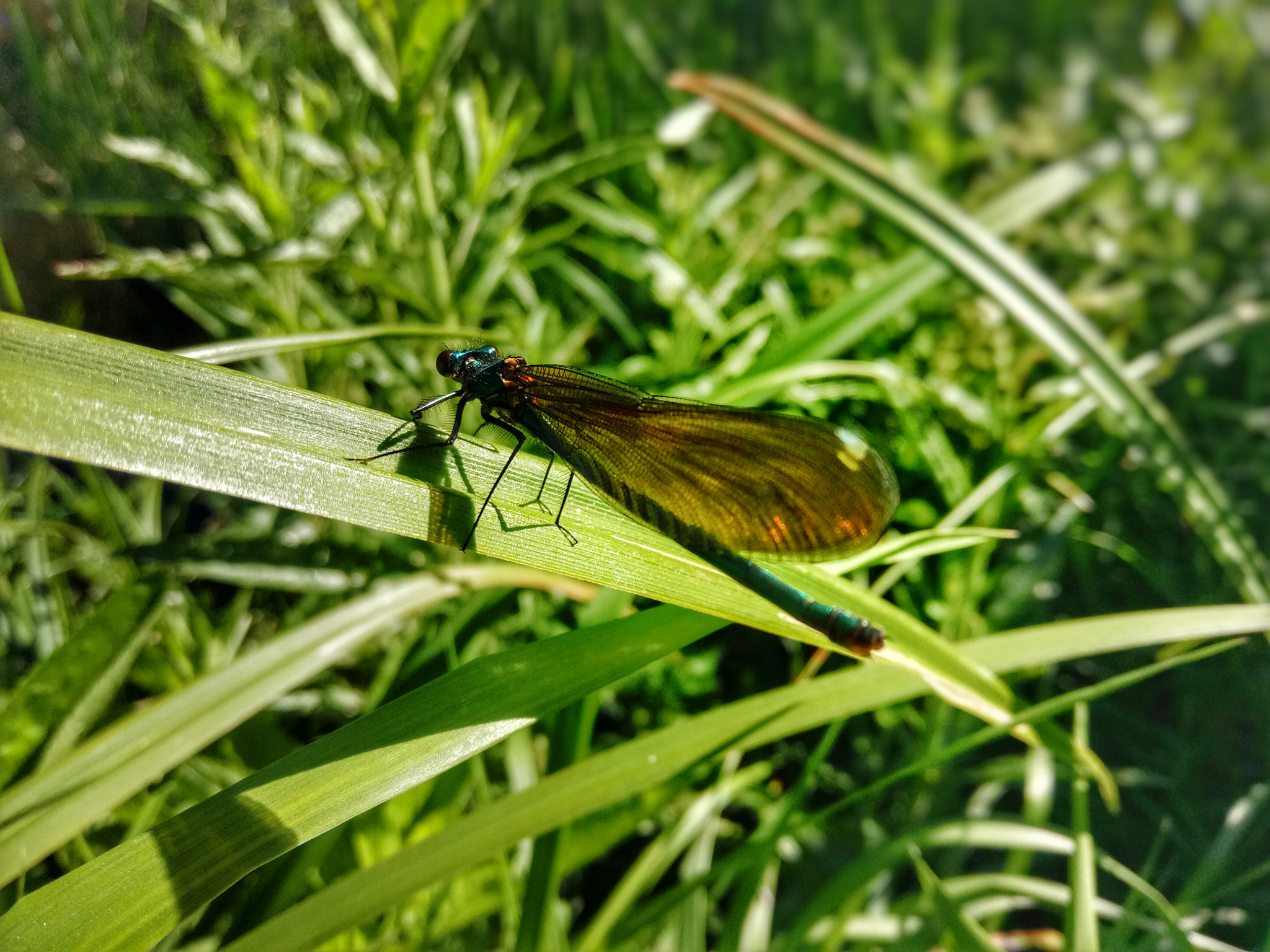 Meizu U20 sample photo