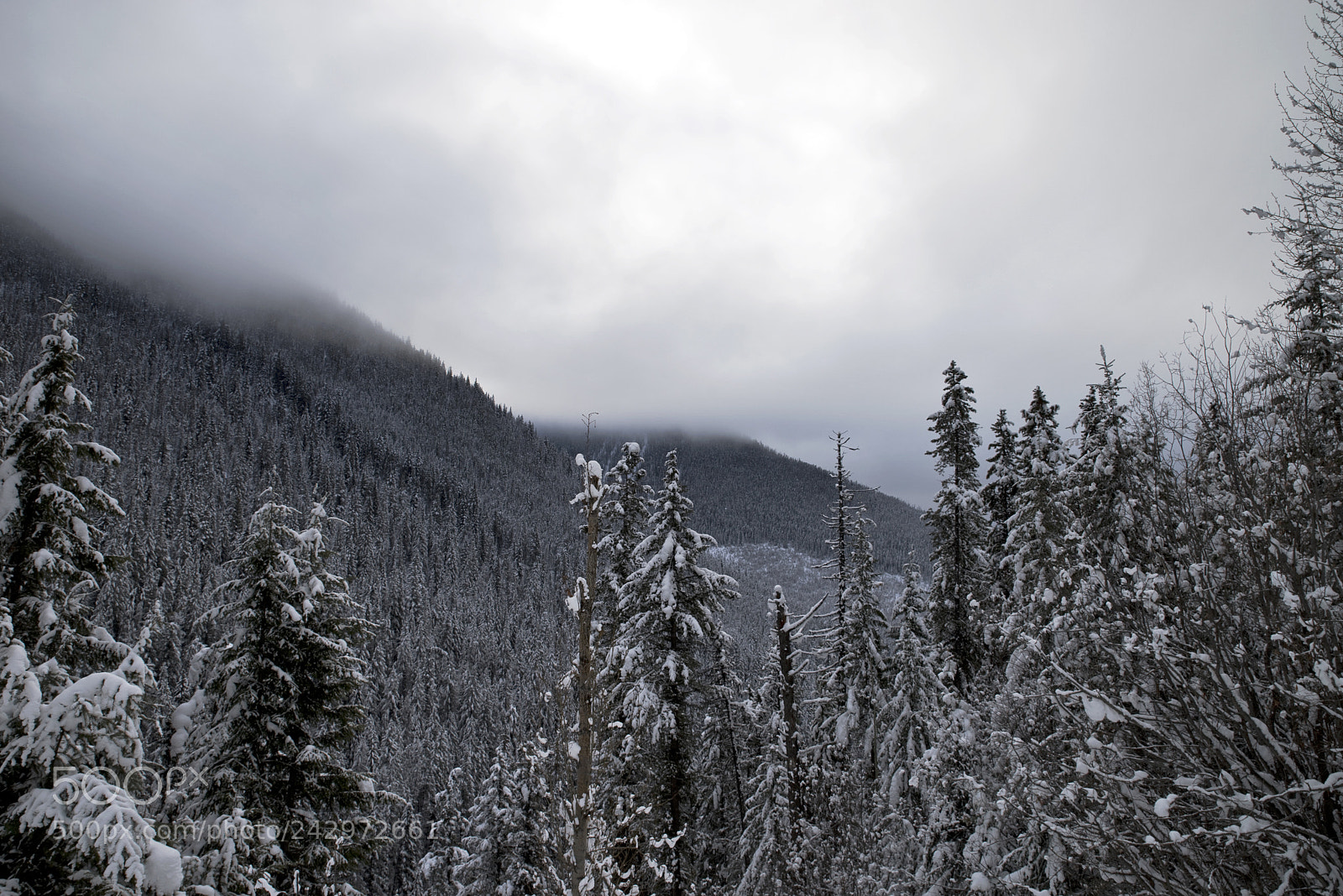 Pentax K-1 sample photo. Winter in canadian rockies photography