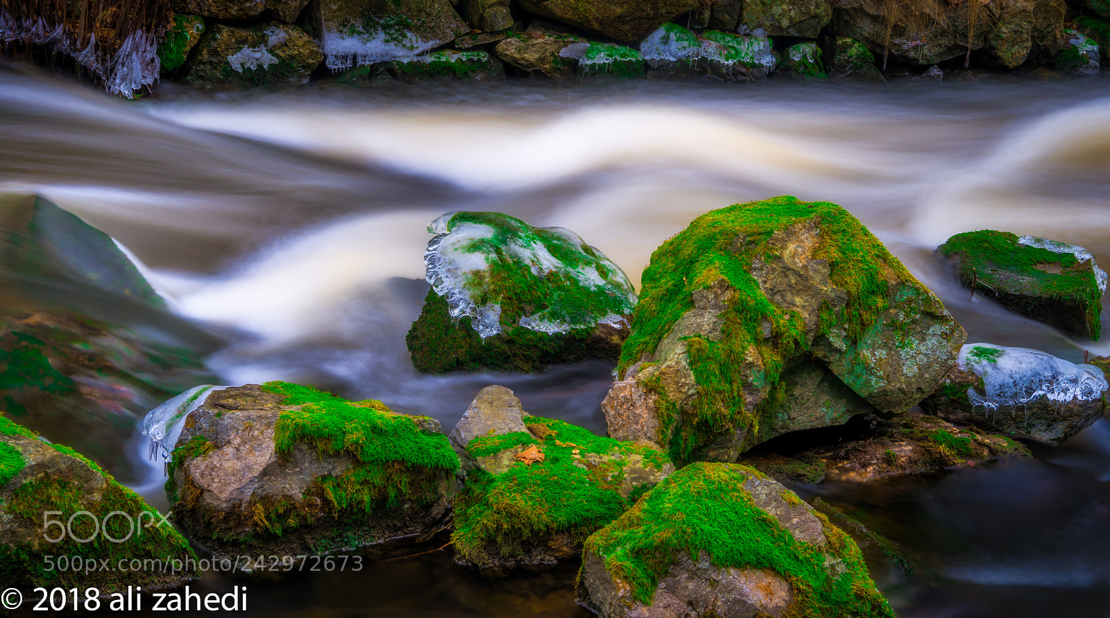 Nikon D810 sample photo. Wainidi photography