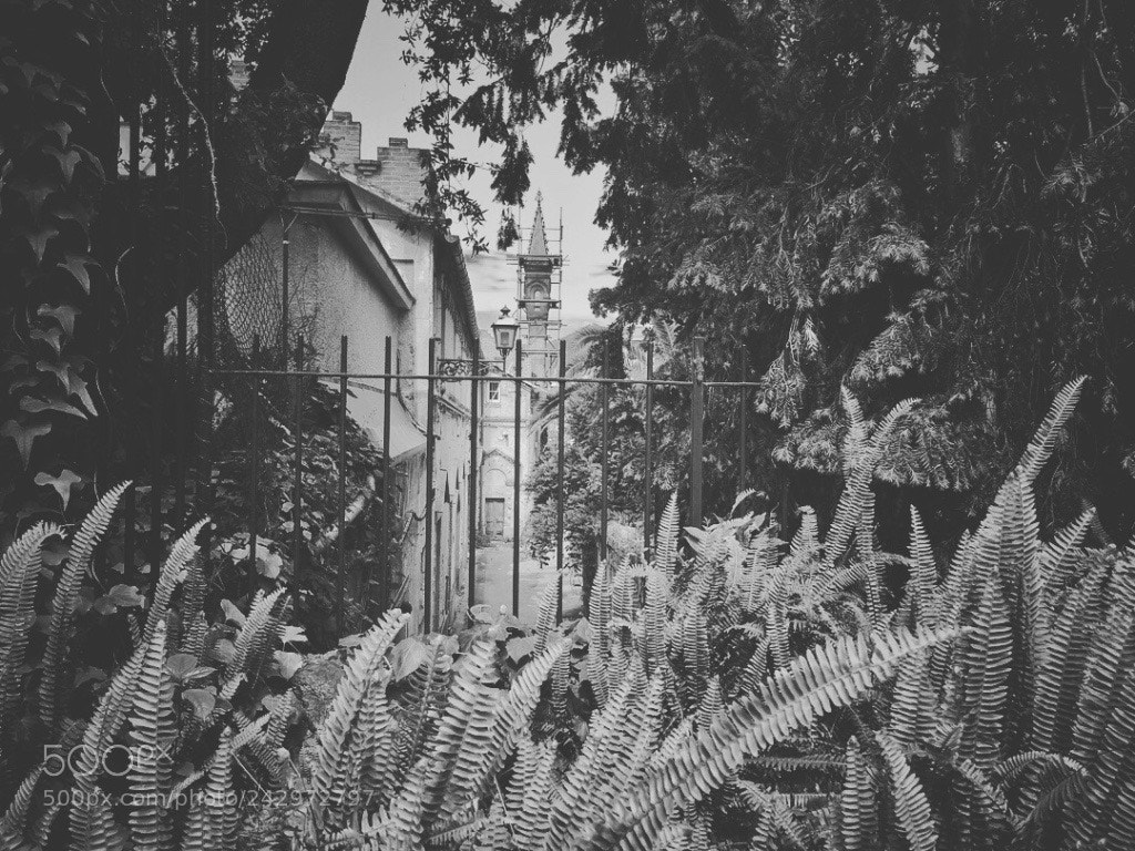 Apple iPhone 6s sample photo. Cartoline da rapallo1 photography