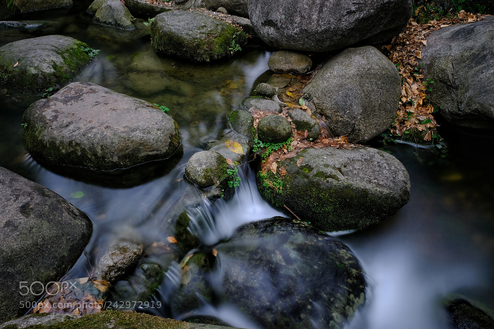 Fujifilm X-Pro2 sample photo. Untitled photography