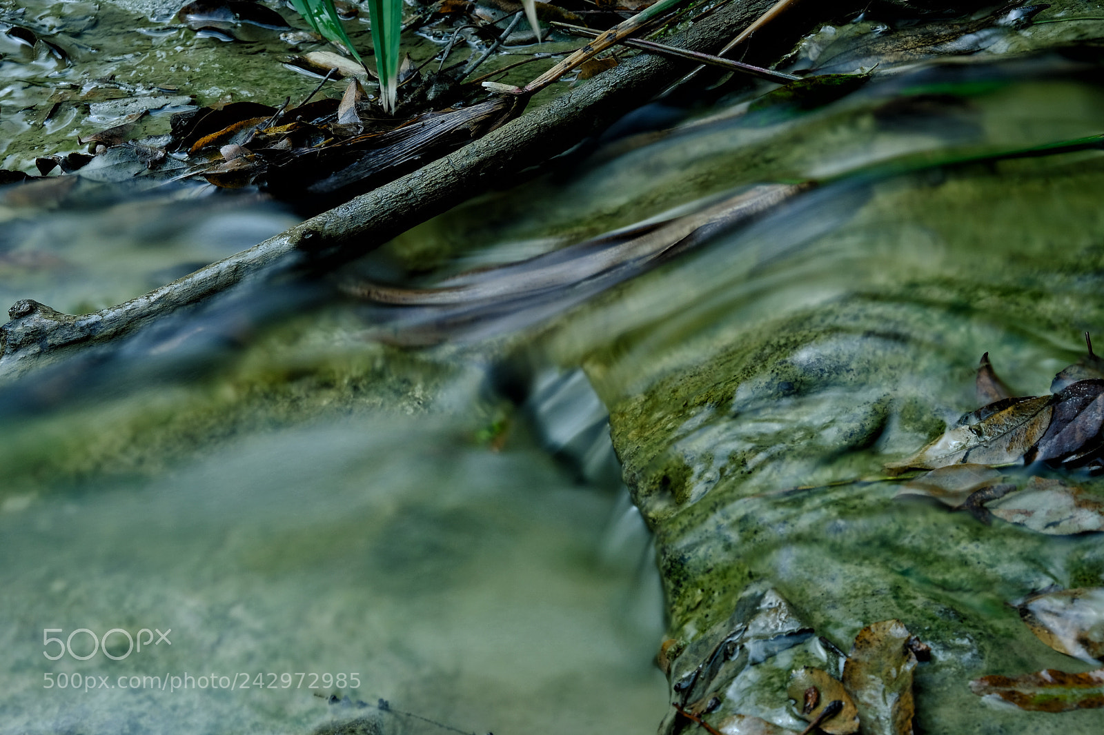 Fujifilm X-Pro2 sample photo. Untitled photography